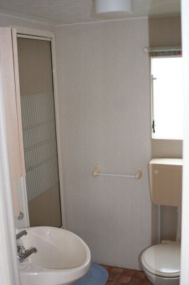 shower moonstone